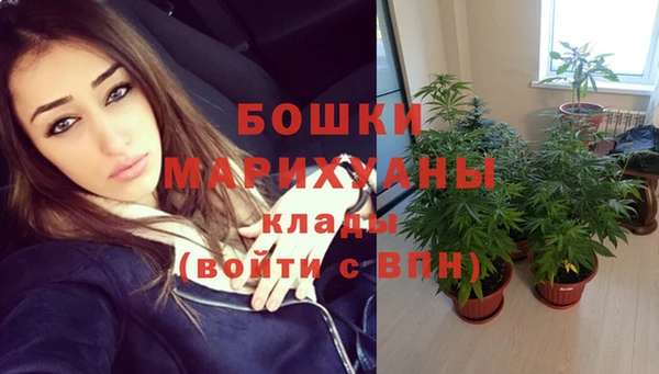 первитин Горнозаводск