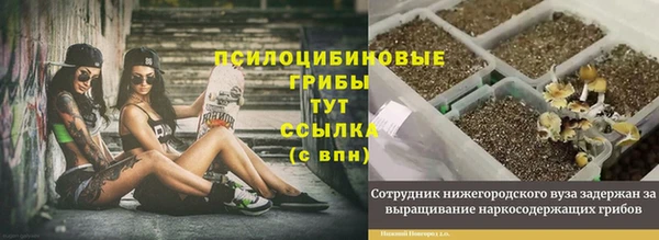 наркотики Горняк