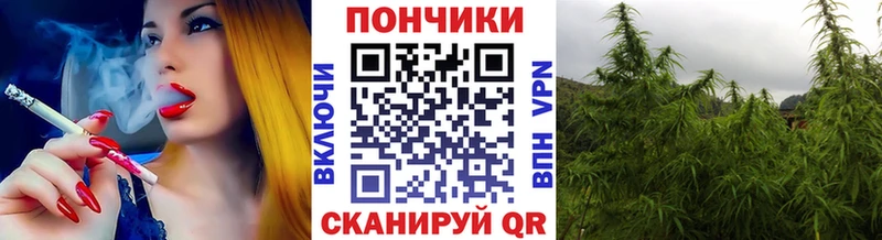 Каннабис сатива  купить  сайты  Волгодонск 